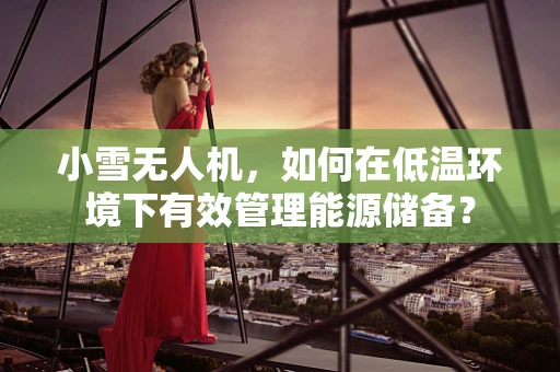 小雪无人机，如何在低温环境下有效管理能源储备？