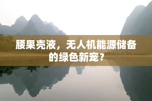 腰果壳液，无人机能源储备的绿色新宠？
