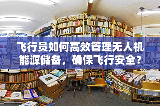 飞行员如何高效管理无人机能源储备，确保飞行安全？