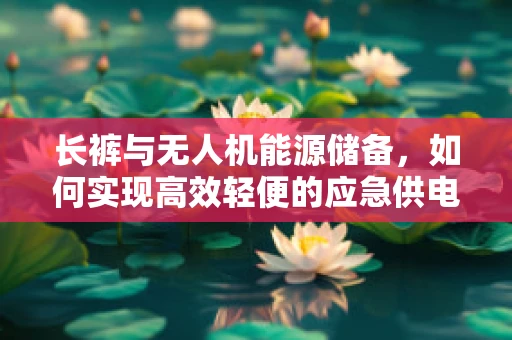 长裤与无人机能源储备，如何实现高效轻便的应急供电？
