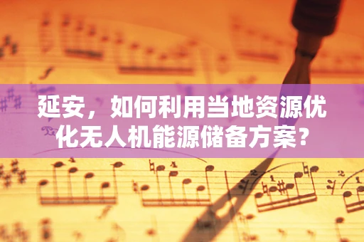 延安，如何利用当地资源优化无人机能源储备方案？