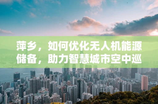 萍乡，如何优化无人机能源储备，助力智慧城市空中巡检？