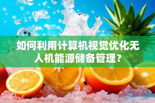如何利用计算机视觉优化无人机能源储备管理？