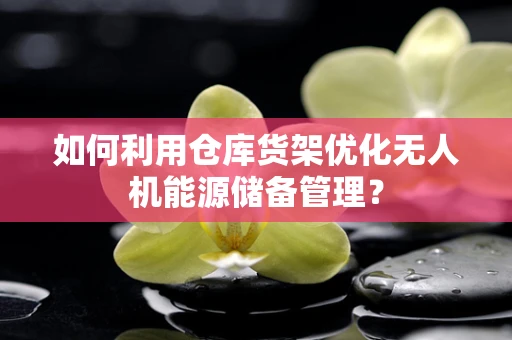 如何利用仓库货架优化无人机能源储备管理？