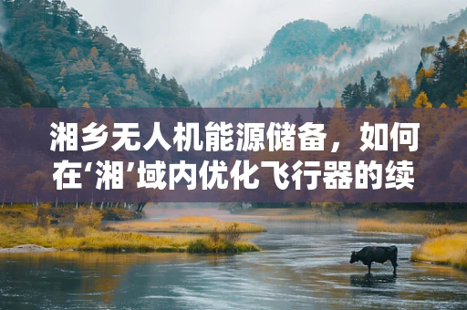 湘乡无人机能源储备，如何在‘湘’域内优化飞行器的续航能力？