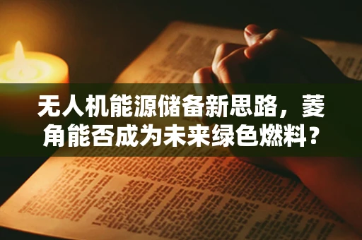 无人机能源储备新思路，菱角能否成为未来绿色燃料？