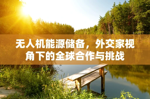 无人机能源储备，外交家视角下的全球合作与挑战