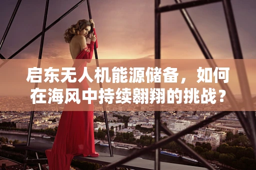 启东无人机能源储备，如何在海风中持续翱翔的挑战？