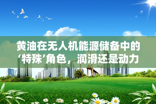黄油在无人机能源储备中的‘特殊’角色，润滑还是动力？