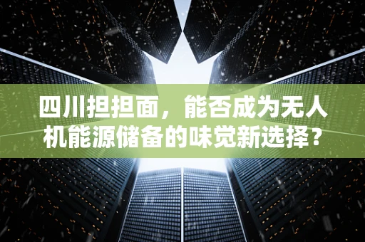 四川担担面，能否成为无人机能源储备的味觉新选择？
