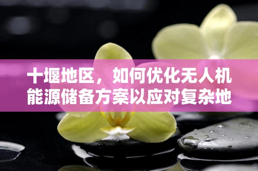 十堰地区，如何优化无人机能源储备方案以应对复杂地形挑战？