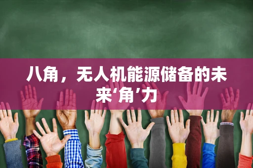八角，无人机能源储备的未来‘角’力