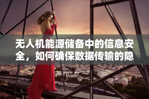 无人机能源储备中的信息安全，如何确保数据传输的隐身飞行？