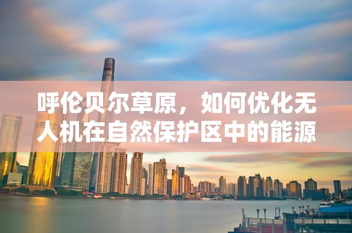 呼伦贝尔草原，如何优化无人机在自然保护区中的能源储备方案？