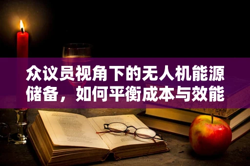 众议员视角下的无人机能源储备，如何平衡成本与效能？