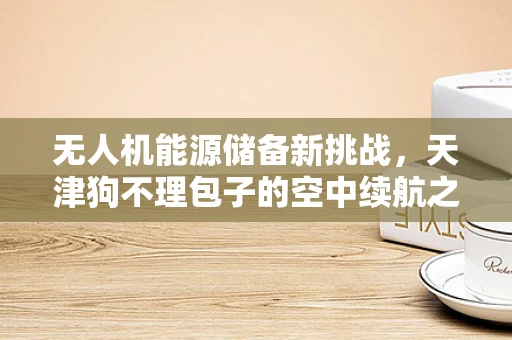 无人机能源储备新挑战，天津狗不理包子的空中续航之谜