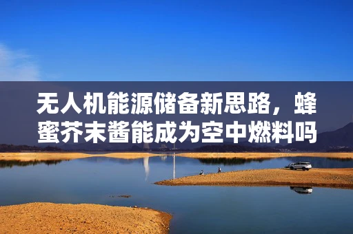 无人机能源储备新思路，蜂蜜芥末酱能成为空中燃料吗？