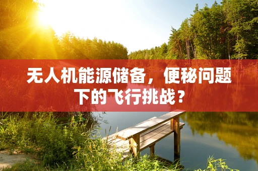 无人机能源储备，便秘问题下的飞行挑战？