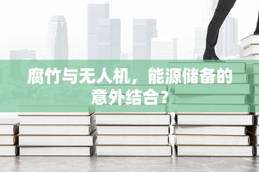 腐竹与无人机，能源储备的意外结合？