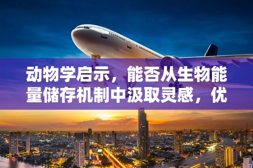动物学启示，能否从生物能量储存机制中汲取灵感，优化无人机能源储备？