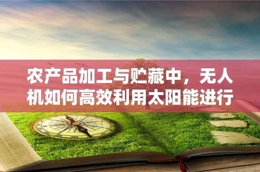 农产品加工与贮藏中，无人机如何高效利用太阳能进行能源储备？