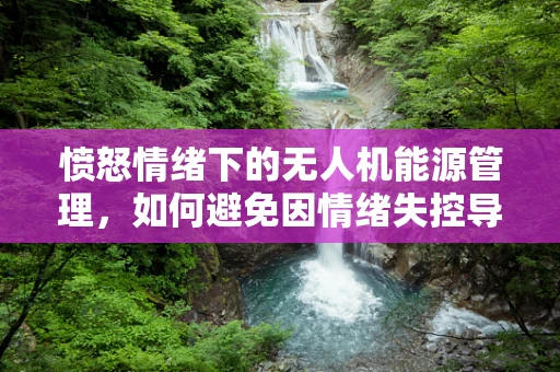 愤怒情绪下的无人机能源管理，如何避免因情绪失控导致的能源浪费？