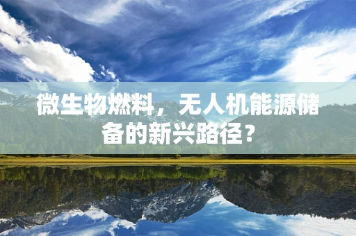 微生物燃料，无人机能源储备的新兴路径？