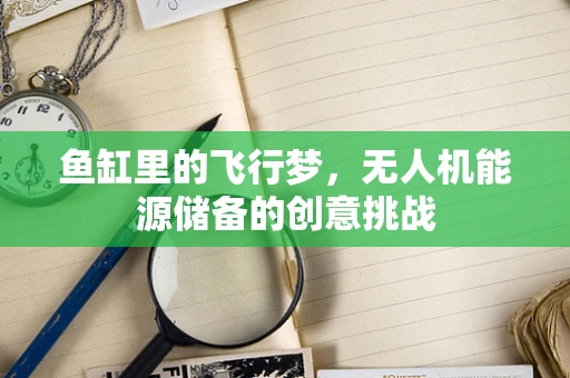 鱼缸里的飞行梦，无人机能源储备的创意挑战