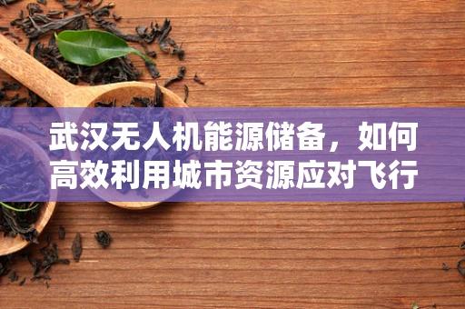 武汉无人机能源储备，如何高效利用城市资源应对飞行续航挑战？