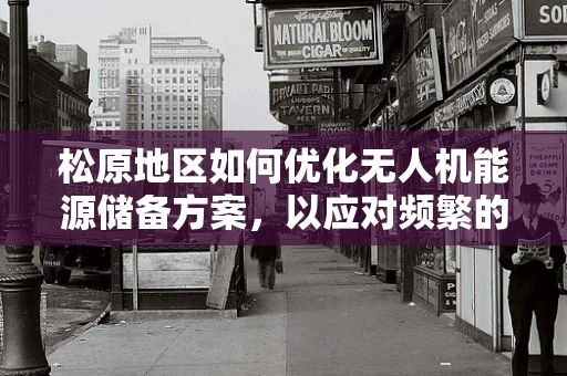 松原地区如何优化无人机能源储备方案，以应对频繁的极端天气挑战？