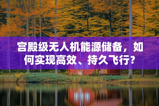 宫殿级无人机能源储备，如何实现高效、持久飞行？