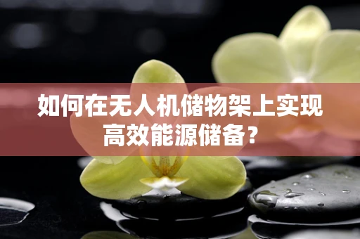 如何在无人机储物架上实现高效能源储备？