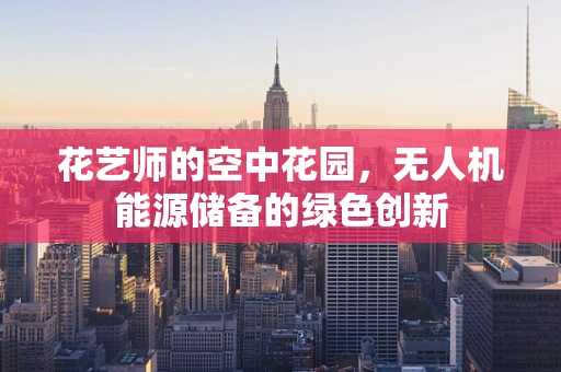 花艺师的空中花园，无人机能源储备的绿色创新