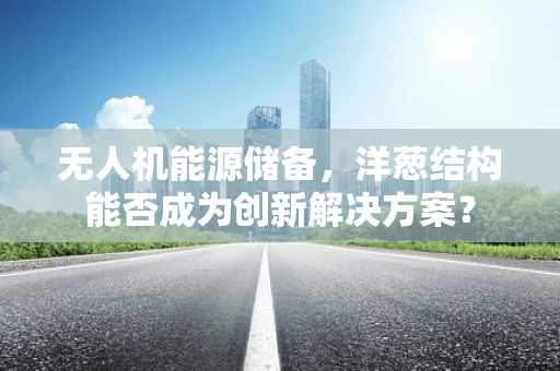 无人机能源储备，洋葱结构能否成为创新解决方案？