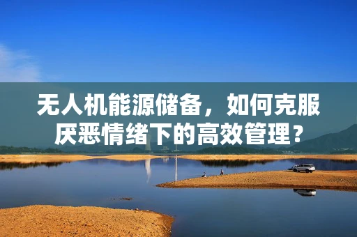 无人机能源储备，如何克服厌恶情绪下的高效管理？