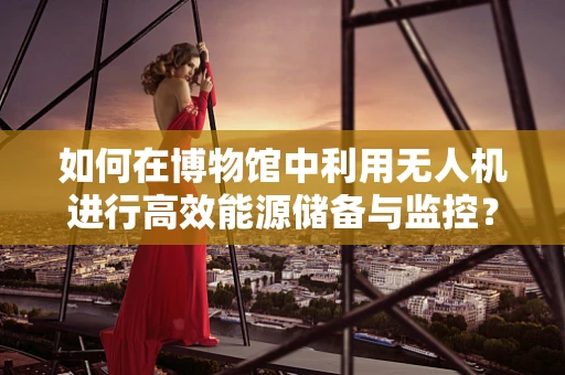 如何在博物馆中利用无人机进行高效能源储备与监控？