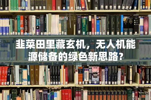 韭菜田里藏玄机，无人机能源储备的绿色新思路？
