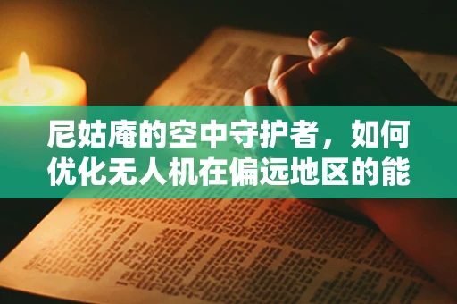 尼姑庵的空中守护者，如何优化无人机在偏远地区的能源储备？