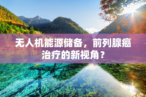 无人机能源储备，前列腺癌治疗的新视角？