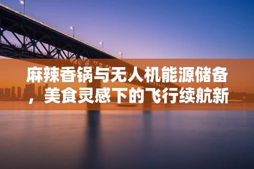 麻辣香锅与无人机能源储备，美食灵感下的飞行续航新思路？