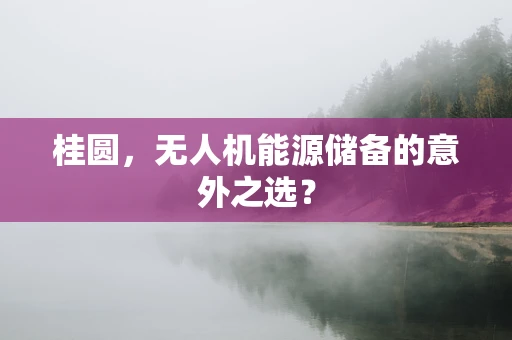 桂圆，无人机能源储备的意外之选？