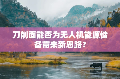 刀削面能否为无人机能源储备带来新思路？