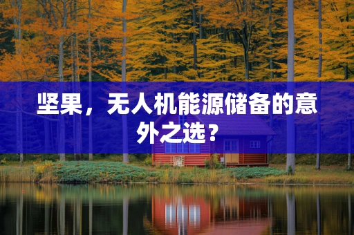 坚果，无人机能源储备的意外之选？