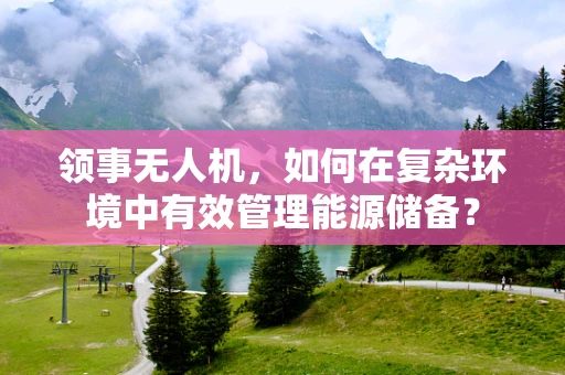 领事无人机，如何在复杂环境中有效管理能源储备？