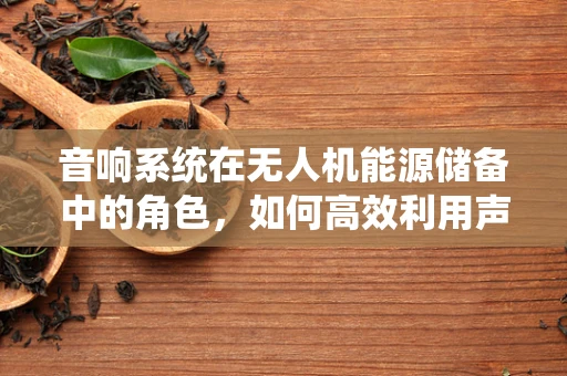 音响系统在无人机能源储备中的角色，如何高效利用声音进行能量收集？