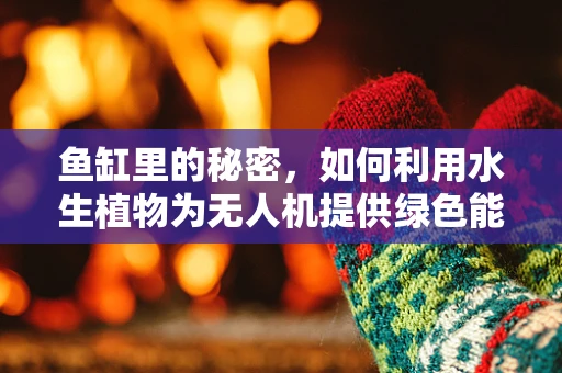 鱼缸里的秘密，如何利用水生植物为无人机提供绿色能源？