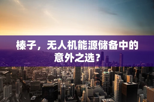 榛子，无人机能源储备中的意外之选？