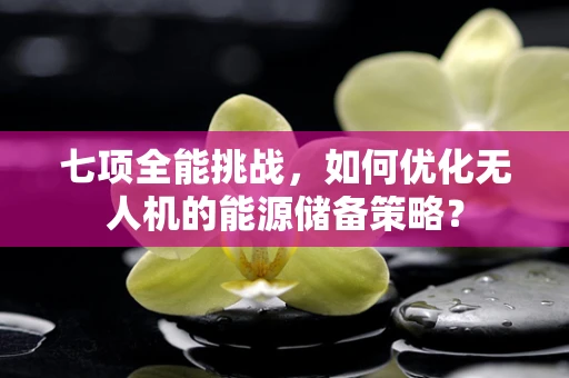 七项全能挑战，如何优化无人机的能源储备策略？
