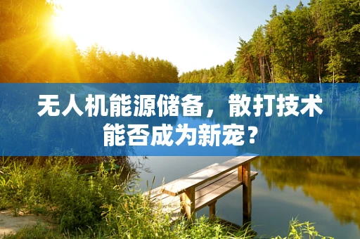 无人机能源储备，散打技术能否成为新宠？