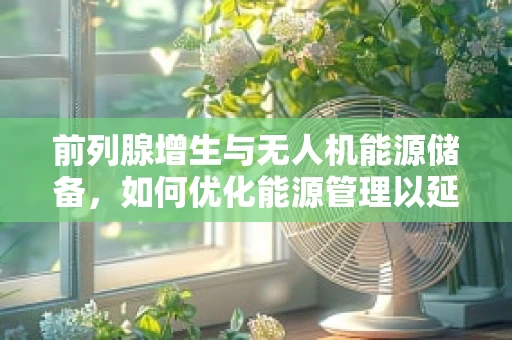 前列腺增生与无人机能源储备，如何优化能源管理以延长飞行时间？